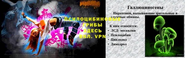 спиды Алексин