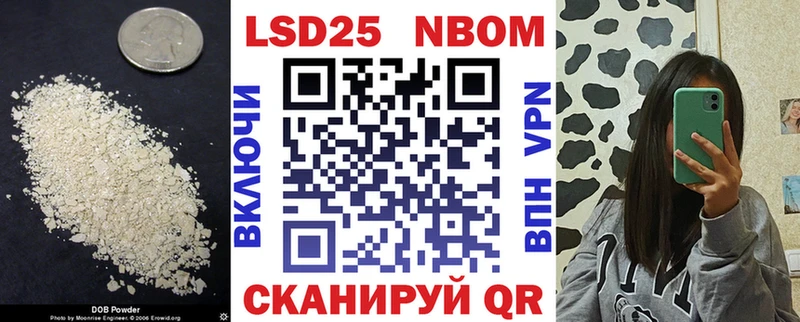 закладки  Новоаннинский  MEGA зеркало  Лсд 25 экстази кислота 