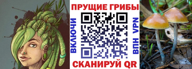 Псилоцибиновые грибы мицелий  закладка  Новоаннинский 
